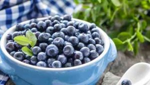 At what age can blueberries be given to children?