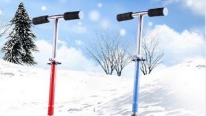 शीतकालीन स्कूटर कैसे चुनें?