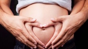 주간 임신 : 감각부터 부스러기 개발까지