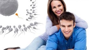 Fertility: all about the fertile function of women and men