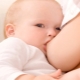 The composition, fat content and temperature of breast milk