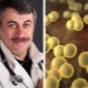 Doktor Komarovsky, Staphylococcus aureus hakkında