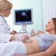 Ultraljud i den 10: e veckan av graviditeten: fostrets storlek och andra egenskaper
