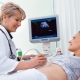 Ultraljud i femte veckan av graviditeten: fostrets storlek och andra egenskaper