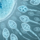 Čo je morfológia spermií, aké normy existujú a ako zlepšiť výkon?