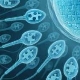 Spermogrammets normer, tolkning av indikatorer och orsaker till avvikelser
