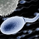 Orsaker till förekomst av leukocyter i spermogram och indikatorer på normala