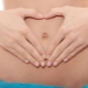 2 veckors graviditet: utveckling av embryon, känsla och ansvarsfrihet från den förväntade mamman