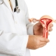 Dĺžka krčka maternice počas tehotenstva a príčiny odchýlok