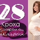 28 weken zwangerschap: wat gebeurt er met de foetus en de aanstaande moeder?