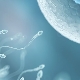 Hur påverkar spermierotiliteten uppfattningsframgång?