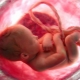 Wat betekent de derde graad van volwassenheid van de placenta en welke week is het normaal voor de zwangerschap?