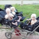 Strollers para sa triplets: isang pagsusuri ng mga modelo at mga tip sa pagpili