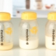 Colostrum: features and properties