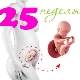 Hamileliğin 25. haftasında fetal gelişim
