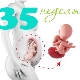 Fosterutveckling under den 35: e veckan av graviditeten