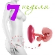 Fosterutveckling under den 7: e veckan av graviditeten