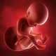 Čo znamená centrálna placenta previa počas tehotenstva a čo to ovplyvňuje?