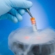 Vad är embryokryopreservering och varför behövs det?