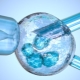 IVF öncesi yumurtalıkların süperovülasyonu ve stimülasyonu