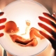 Embriyo transferinden sonra nasıl davranmalı? tavsiyeler