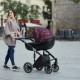 Anex strollers: प्रकार और चयन युक्तियाँ