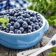 Sa anong edad maaaring ibibigay ang mga blueberries sa mga bata?
