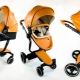 Foo Foo bebek arabası: model yelpazesi ve seçtiğiniz için ipuçları