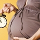 Vilken vecka av graviditet är mammaledighet och vad beror det på?