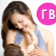 신생아 및 유아의 모유 수유. 초기 및 월 기능