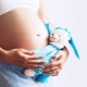 임신의 두 번째 삼 분기의 특징