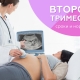 Hamilelik sırasında ikinci tarama: Göstergelerin tarih ve normları