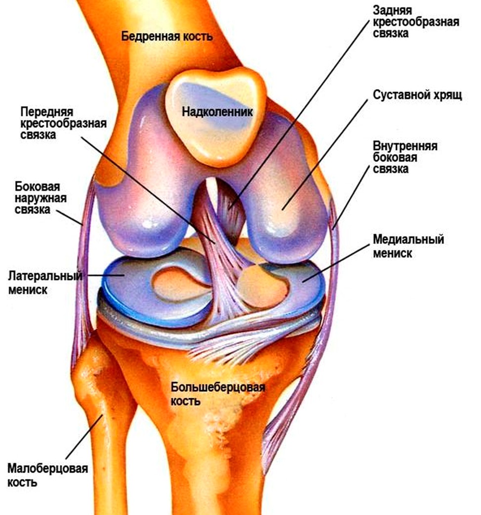 Psicosomatica del ginocchio: cause del dolore al ginocchio..