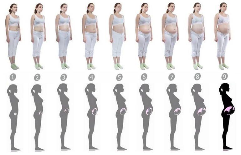 Как выглядит ребенок на 32 неделе беременности в животе фото