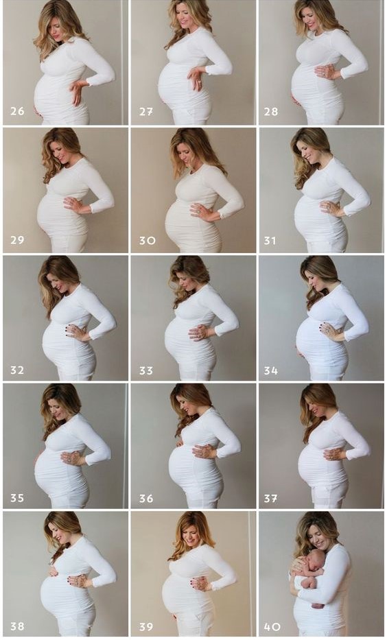 На какой неделе беременности растет животик. Живот беременной по месяцам. Фотосессия беременных по неделям. Беременные животики по месяцам. Прост живота при беременности.