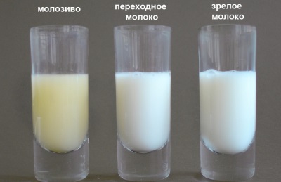 कोलोस्ट्रम और स्तन का दूध