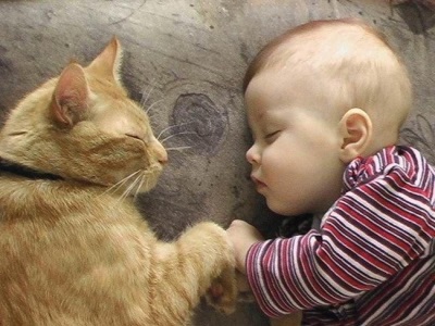 الطفل والقطة