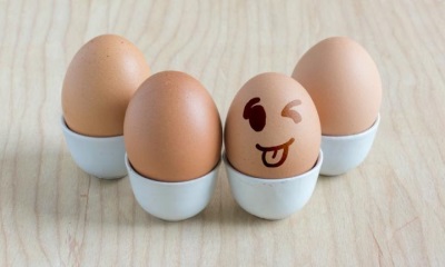 아기 오믈렛 용 계란