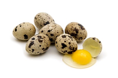 Quail eggs for omelet