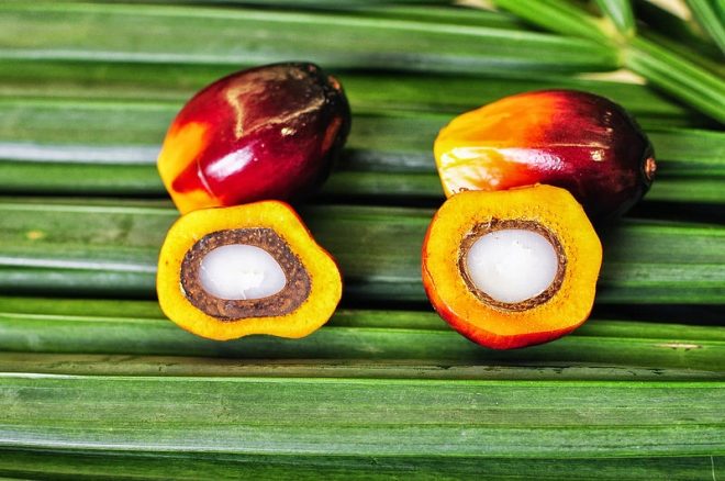 Mga bunga ng palm oil