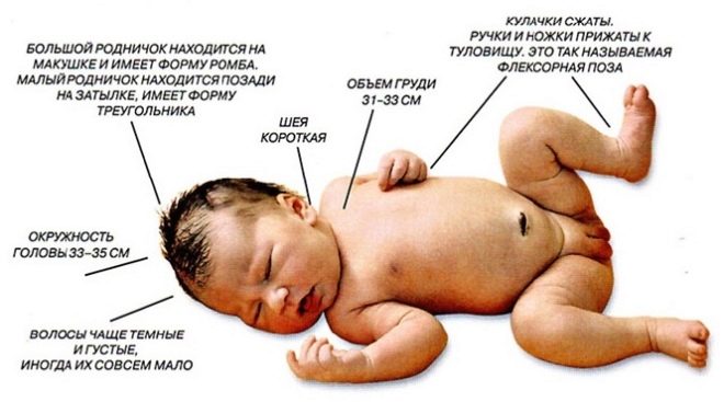 Một đứa trẻ sơ sinh trông như thế nào?