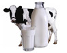 ¿A qué edad se le puede dar leche de vaca a un bebé?